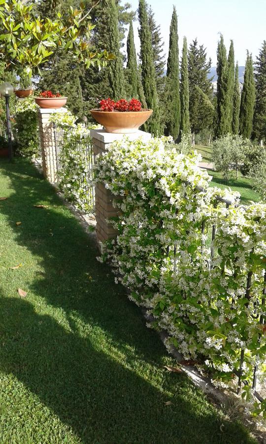 B&B La Piaggia Montemerano Ngoại thất bức ảnh